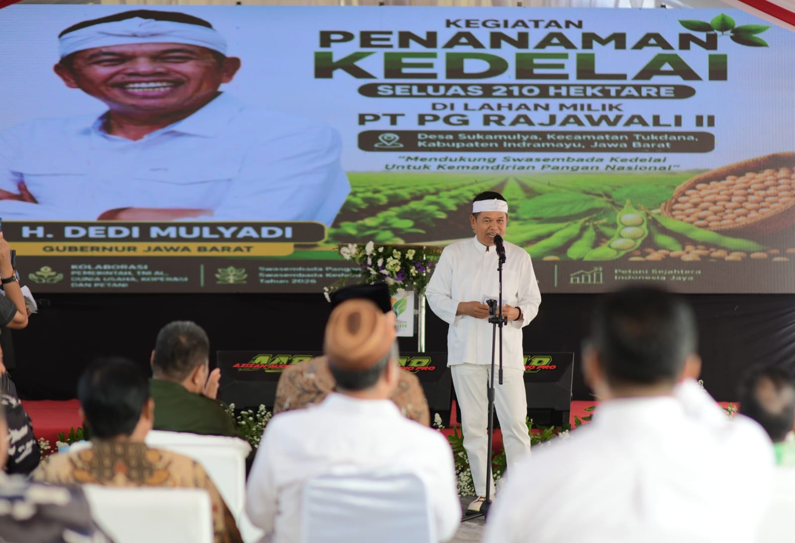 Dorong Swasembada Kedelai, Dedi Mulyadi Minta Petani Lakukan Ini