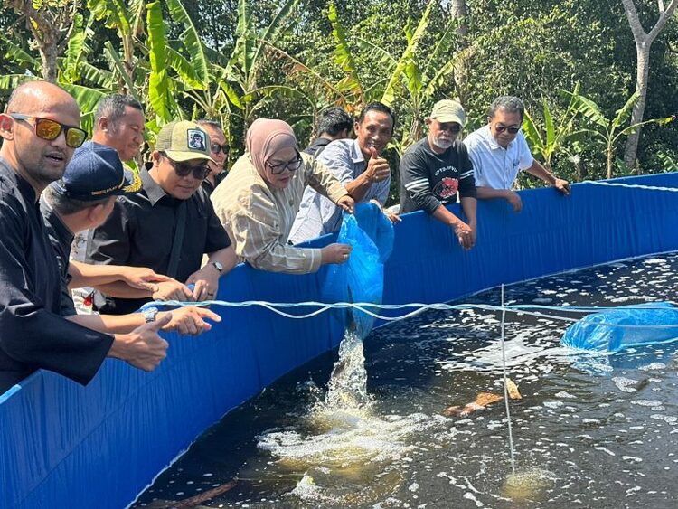 Bantuan Budidaya Ikan Jabar Sasar 6 Daerah, Ika Siti Rahmatika Dorong Dampak Nyata